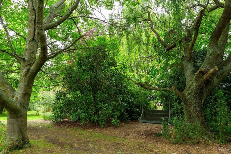 252 Downs Road Geraldine_30