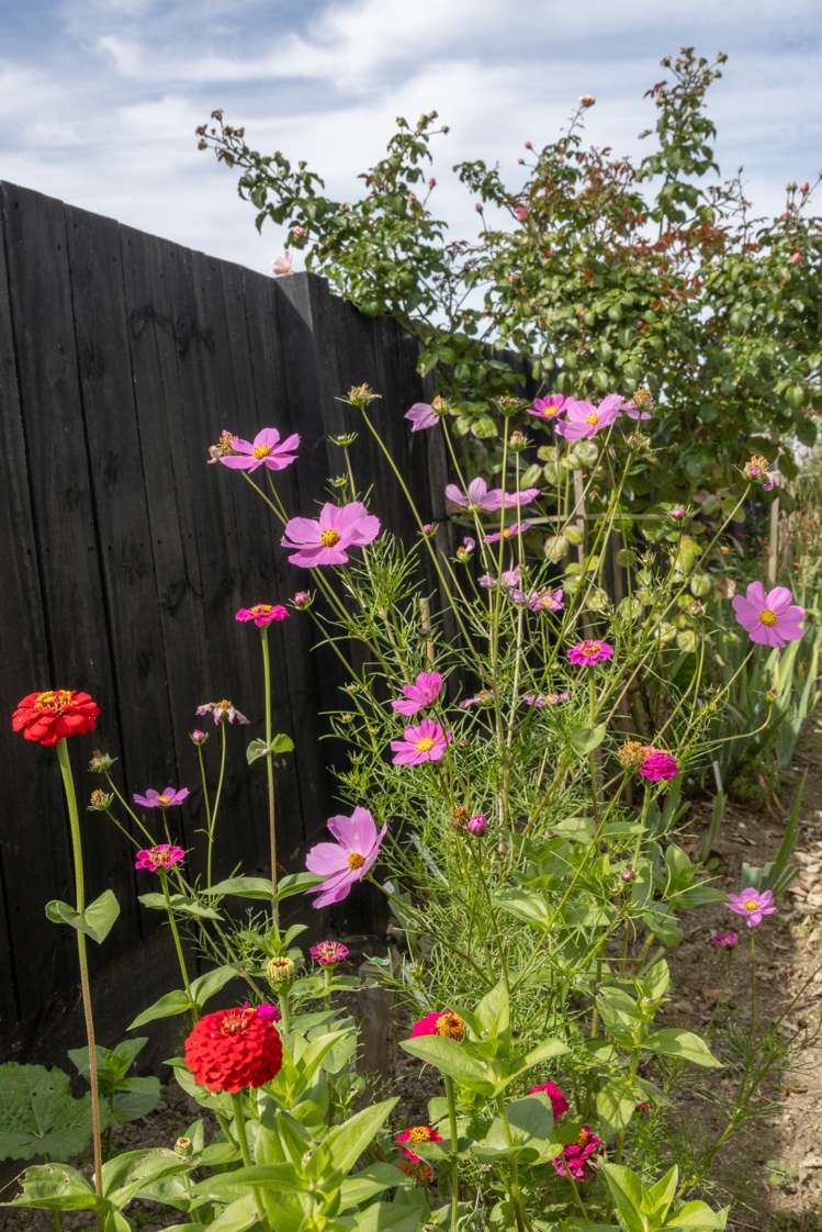 6 Matau Close Te Kauwhata_24