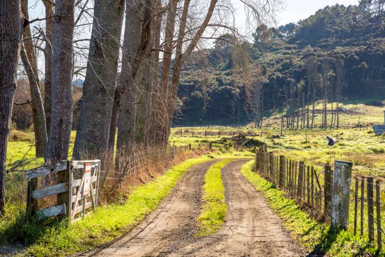 199 Mcpike Road Waimauku_8