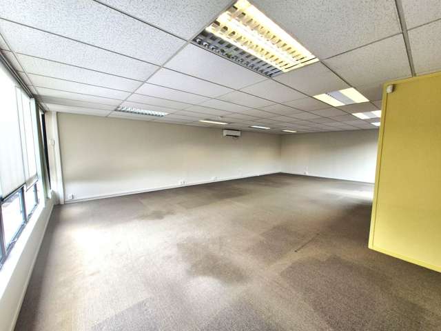 123C Dominion Road Mt Eden_4