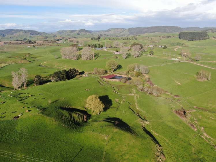 406 Aria Road Piopio_32