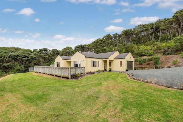 213 Wishart Road Helensville_1