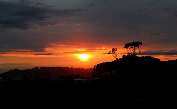 54 Tower Avenue Waverley_19