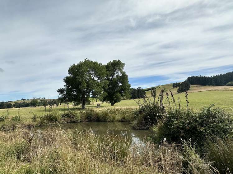 342 Catherwoods Road Cust_8