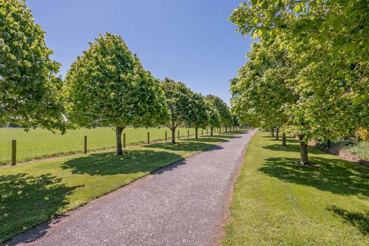 61 Ryans Road Yaldhurst_33