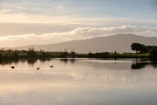 18 Major Durie Place Waikanae Beach_3