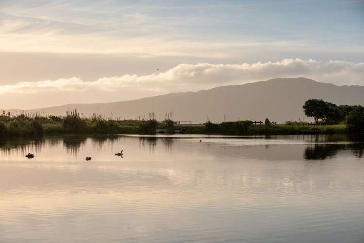 18 Major Durie Place Waikanae Beach_3