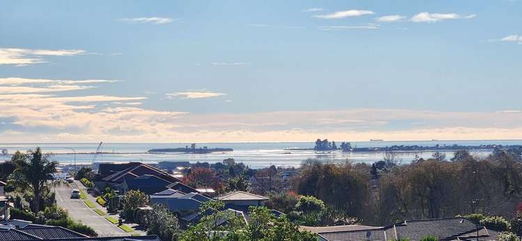 78 Chelsea Avenue Richmond_6
