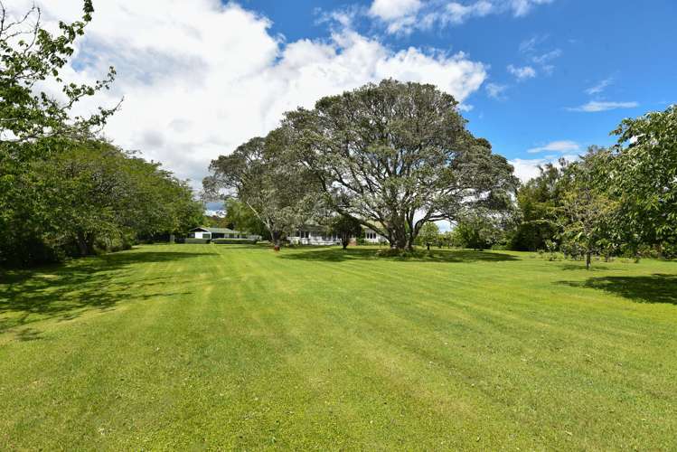 44 and 46 Takinga Street Mourea_27