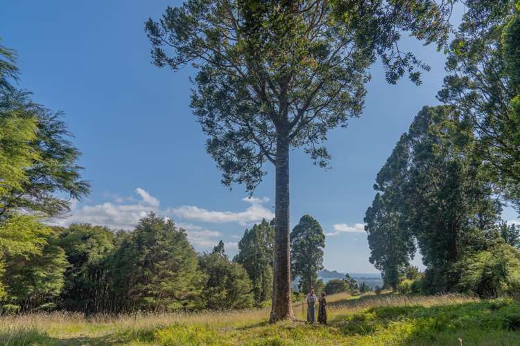 184 Hikuai Settlement Road Hikuai_2