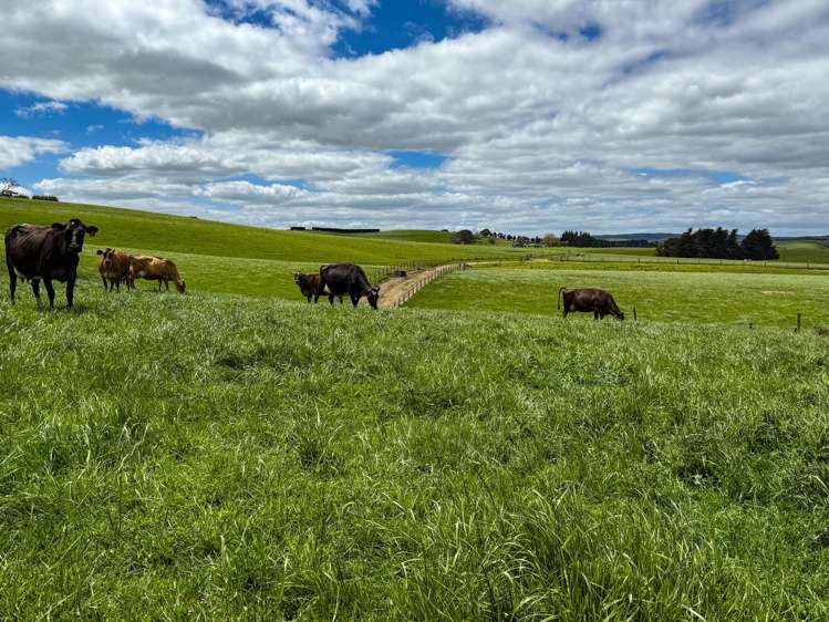 1532 Wyndham Letterbox Road Mataura Island_23