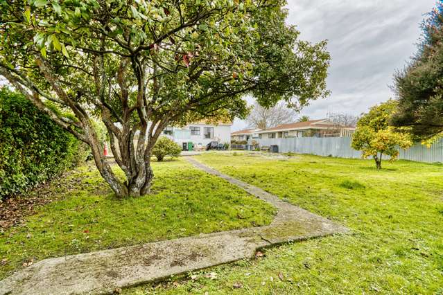 66a Douglas Mclean Avenue Marewa_2