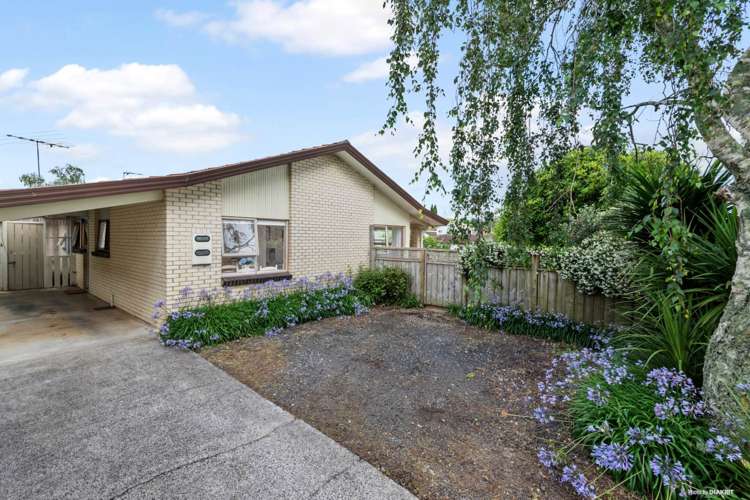 9 Cooper Street Pukekohe_11