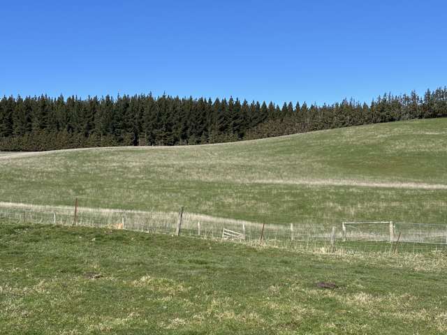 Waihola Highway Waihola_1