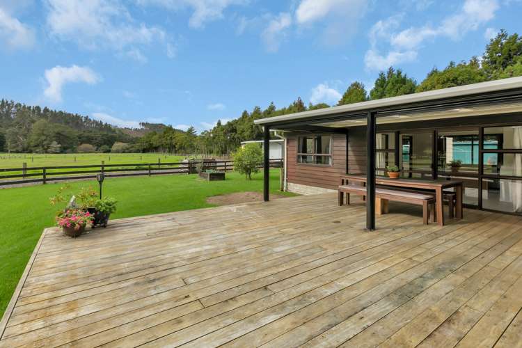 137 Harris Road Glenbervie_15