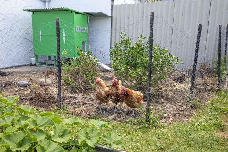 186 California Drive Totara Park_24