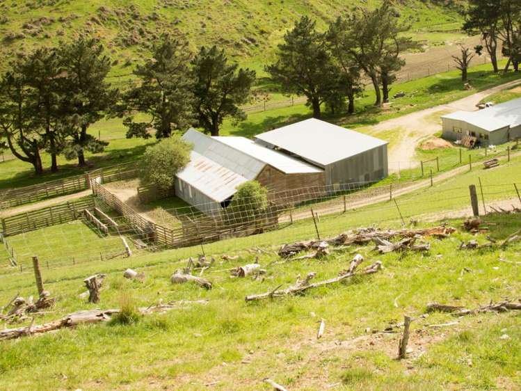 171 Monavale Road Albury_18