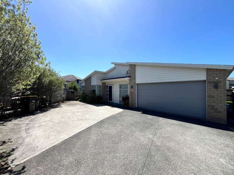 22 Helianthus Avenue Flat Bush_13