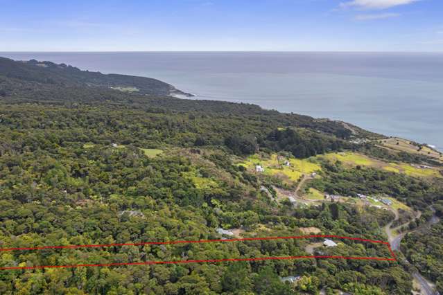- Wainui Road Raglan_3