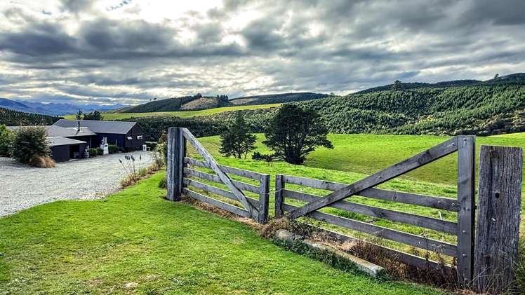 127 Bell Road Dipton_5