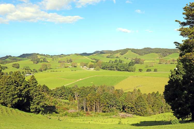 529 Jubilee Road Hukerenui and Surrounds_16