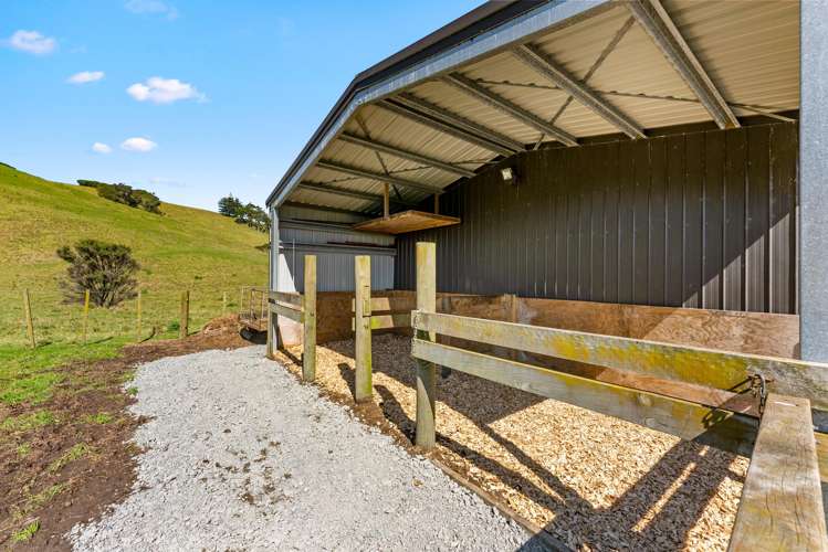 207 Fletcher Road Waimauku_22