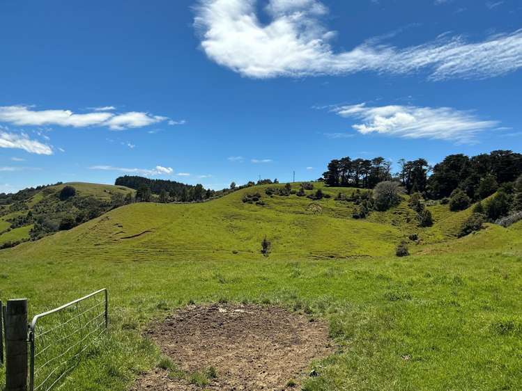 Lot 3 DP539905 Dill Road Kaipara Flats_11