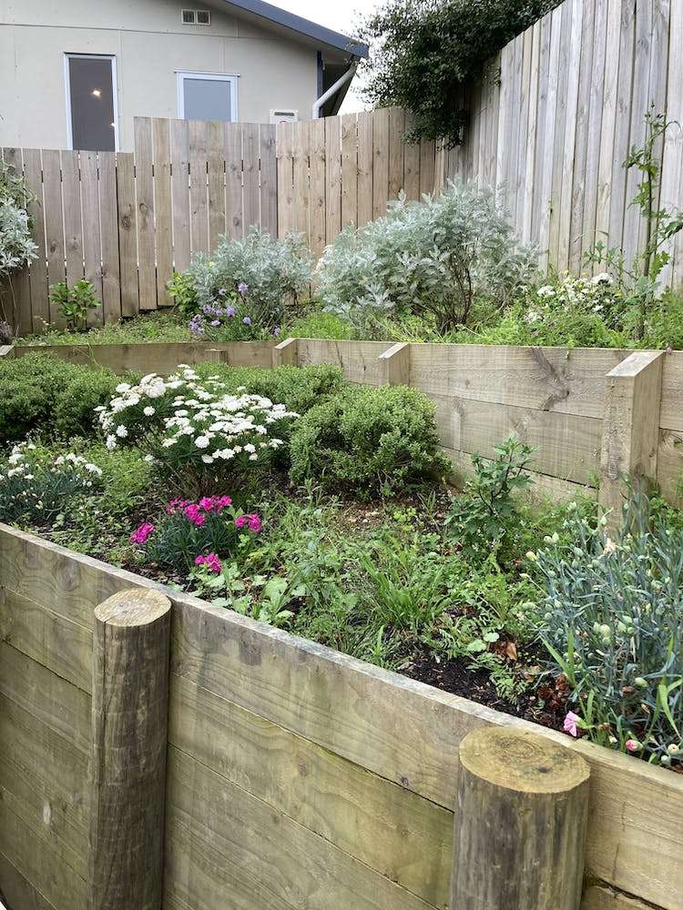 22a Glenside Road Glenside_14