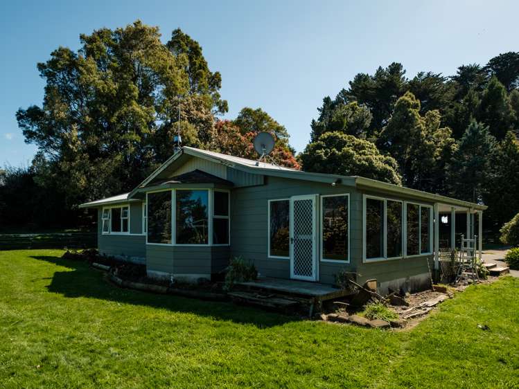 1875 Kanakanaia Road Whatatutu_23