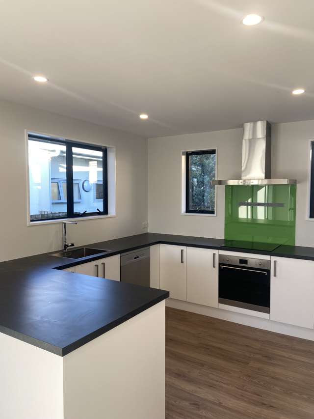 102a Rattray Street Riccarton_1