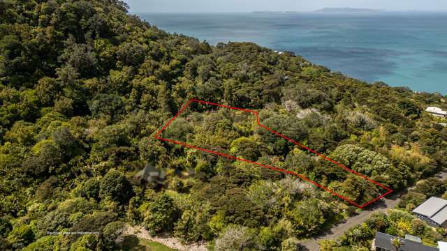 10 Puriri Place Coromandel_1