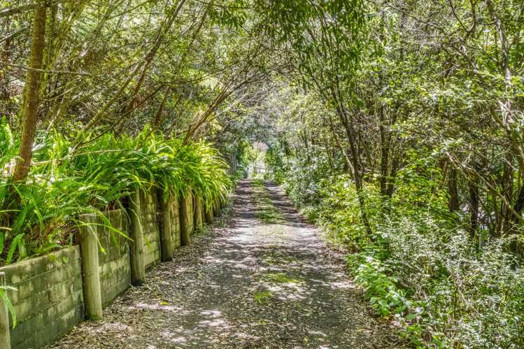 2C Kowhai Street Ohope_7