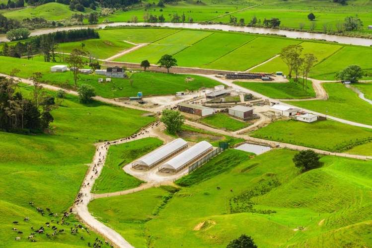 901 Pukehuia Road Tangiteroria_17