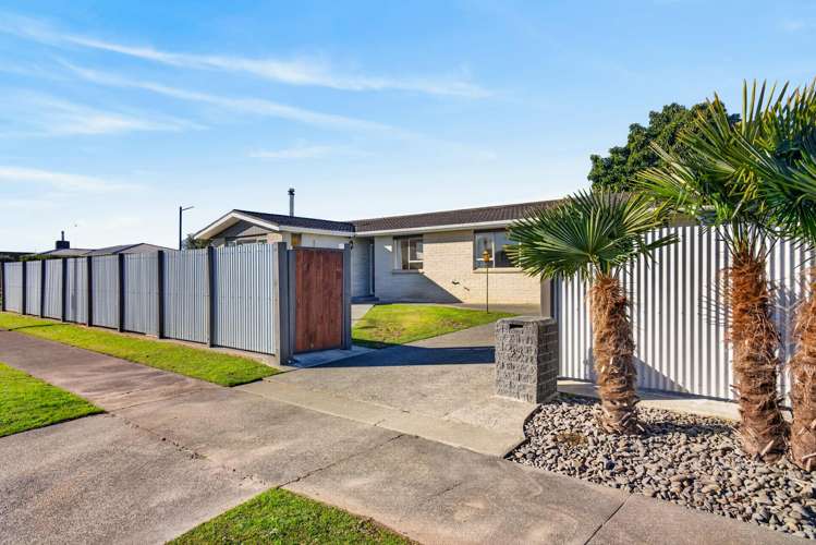 44 Salisbury Avenue Tamatea_14