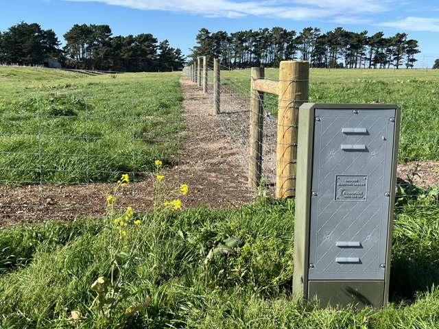 1163 Motu Rimu Road Motu Rimu_1