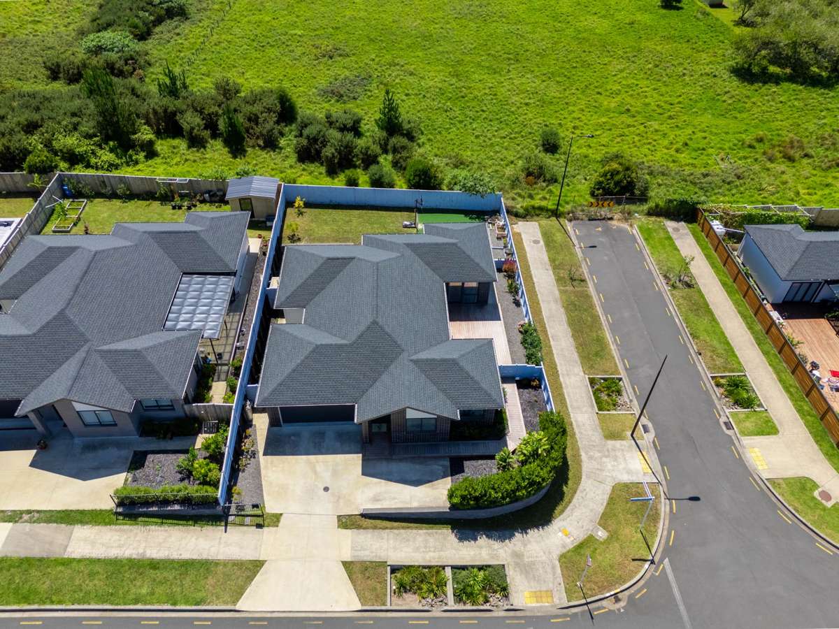22 Kauri Gum Rise_4