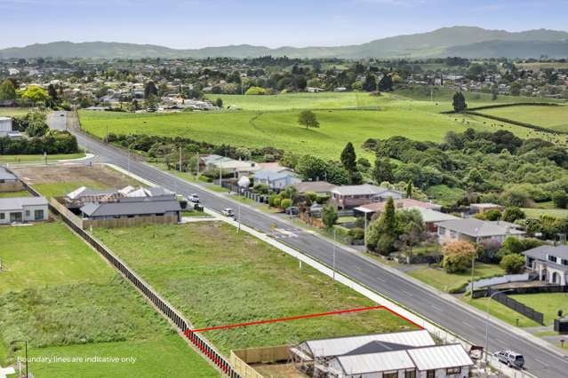 50 Frontier Road Te Awamutu_4