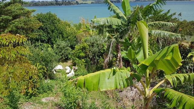 572a Pahi Road Paparoa_1