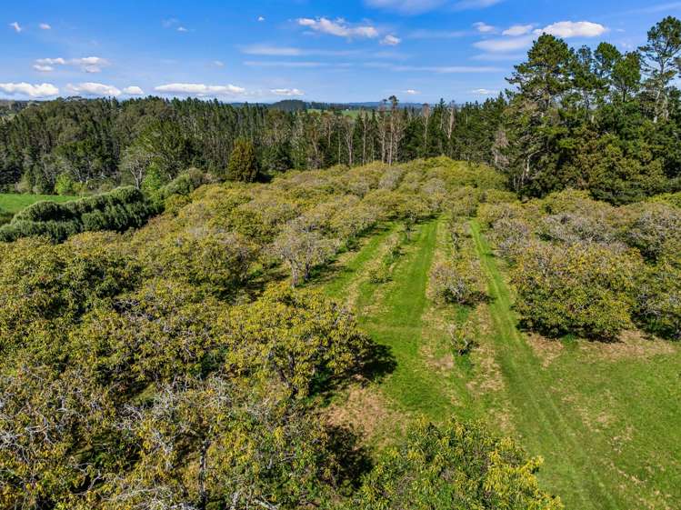 20 McLaren Falls Road Lower Kaimai_16