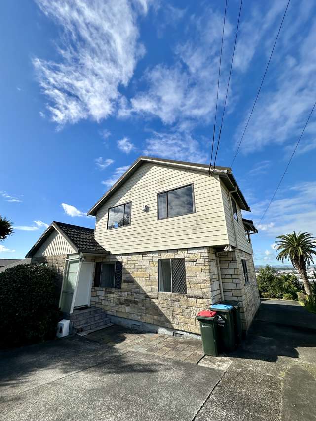 43 Te Kawa Road Greenlane_1