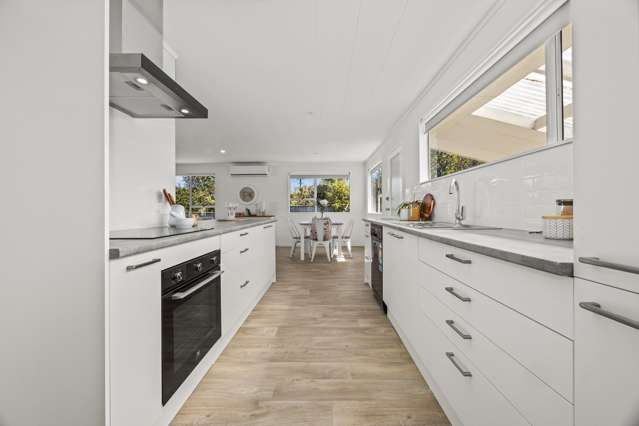 12A Park Avenue Waikanae_2