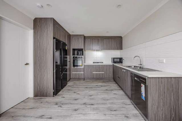 17A Prictor Street Papakura_2