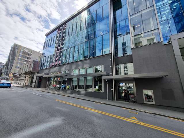 22A Boulcott Street Wellington Central_1