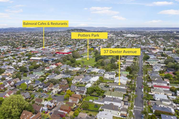 37 Dexter Avenue Mount Eden_20