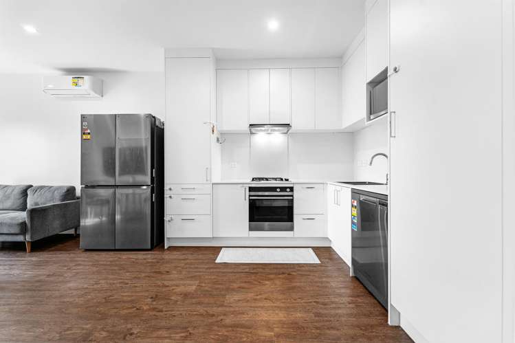 38 Salvia Lane Flat Bush_8