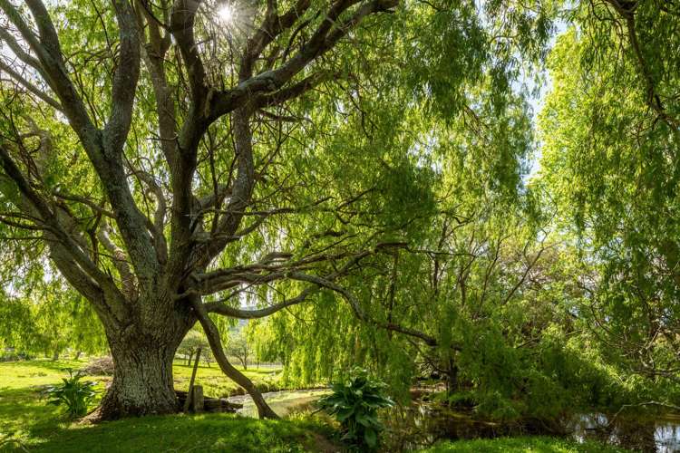 603 State Highway 1 Anakiwa and Surrounds_24