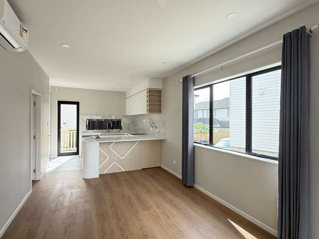 25B Withers Rd Glen Eden_1