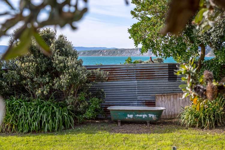 1598 Cape Palliser Road Cape Palliser_18