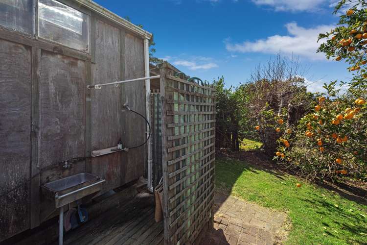 132C Ohiwa Loop Road Ohiwa_28