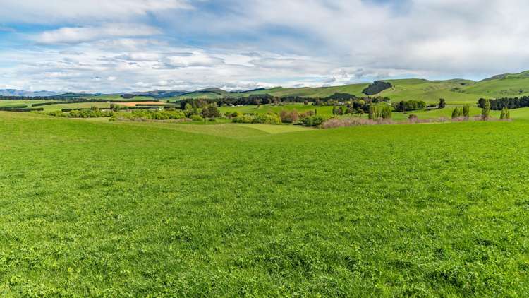 1443 Omihi Road Omihi_37